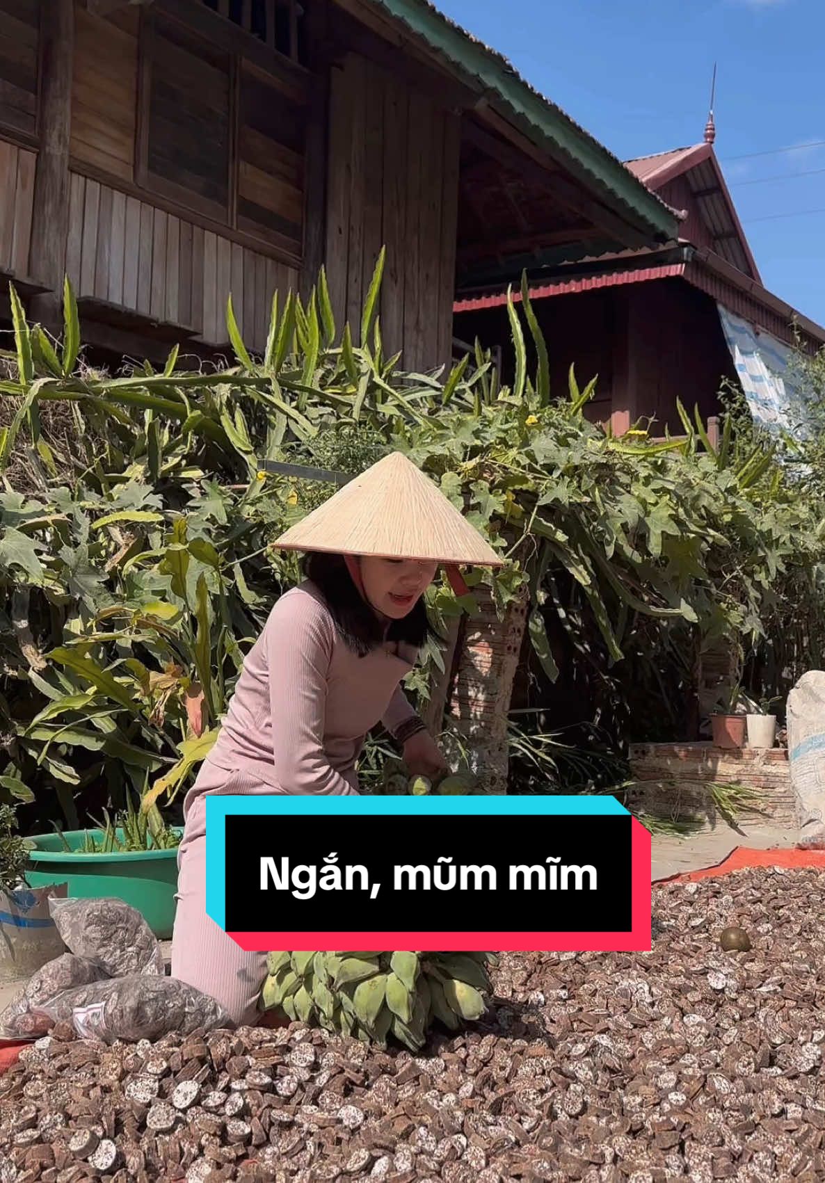 Ngắn mũm mĩm nhưng tốt a ạ 