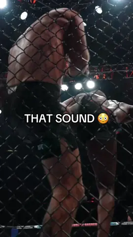The sound of the Jon Jones spinning back kick that finished Stipe Miocic 😳 #UFC #jonjones #mma 