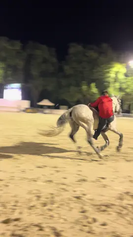 Tu passes plus de temps sous ton cheval que dessus 🤪 #horse #equestrian #horsesontiktok #voltige #horsevideo 