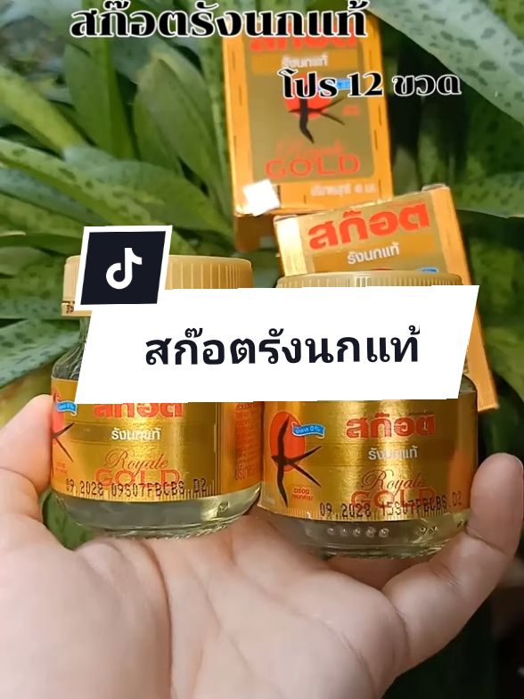 สก๊อต รังนกแท้ รอเยล โกลด์ น้ำตาล 0% 40 มล. (แพ็ก 12 ขวด) จำนวน 1 แพ็ก ของขวัญปีใหม่#สก๊อตรังนกแท้ #สก๊อต #สุขภาพ #tiktokครีเอเตอร์ #หนูเล็กน้องเอสshop @หนูเล็ก น้องเอส shop @หนูเล็ก น้องเอส shop @หนูเล็ก น้องเอส shop 