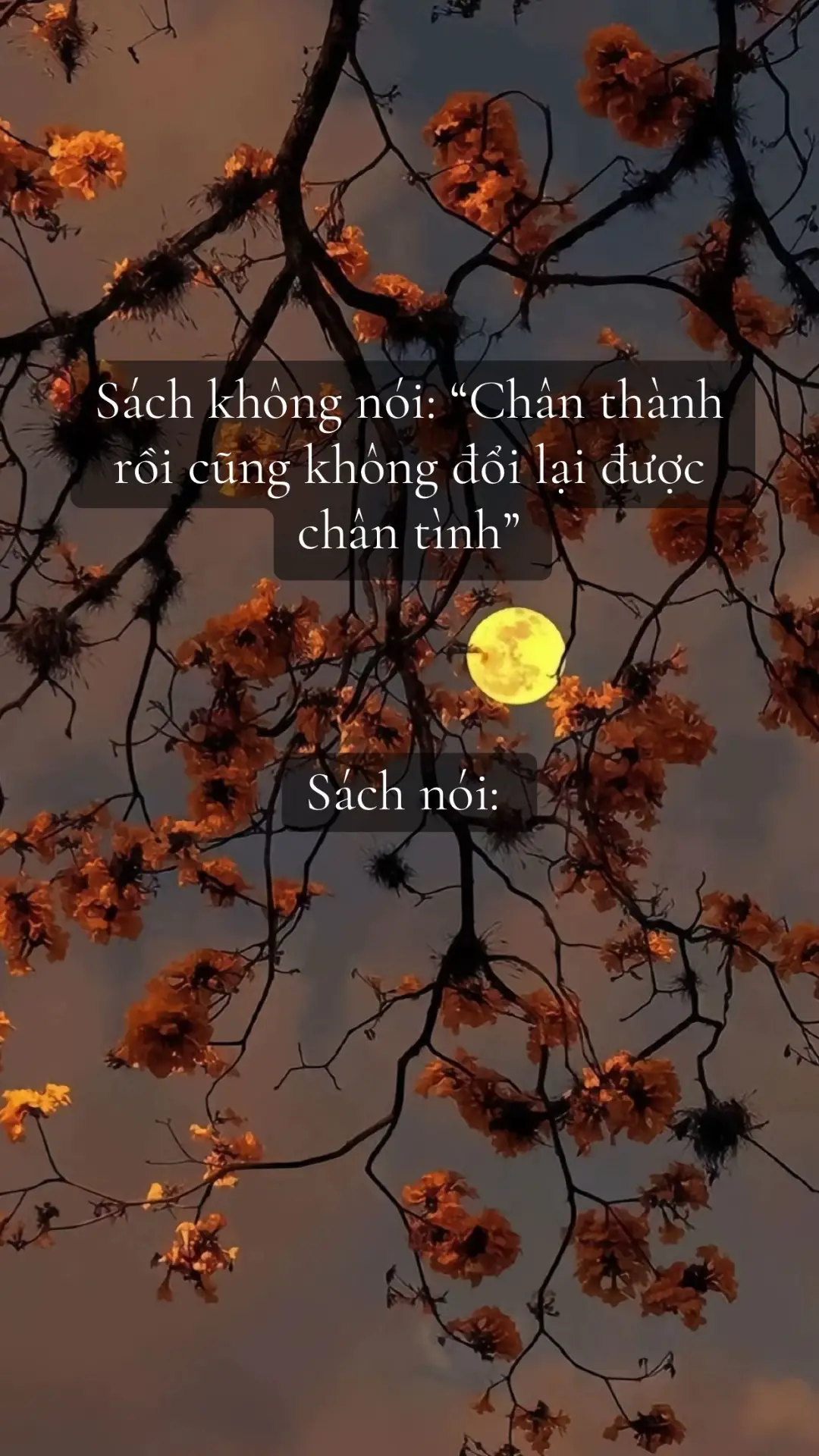 #sad #tamtrang #sadstory #trichdanhay #tinhyeu #chualanh #lyrics #trangsachchualanh #sachhay #chill #LearnOnTikTok #thinhhanh #xuhuongtiktok #xh #viral 