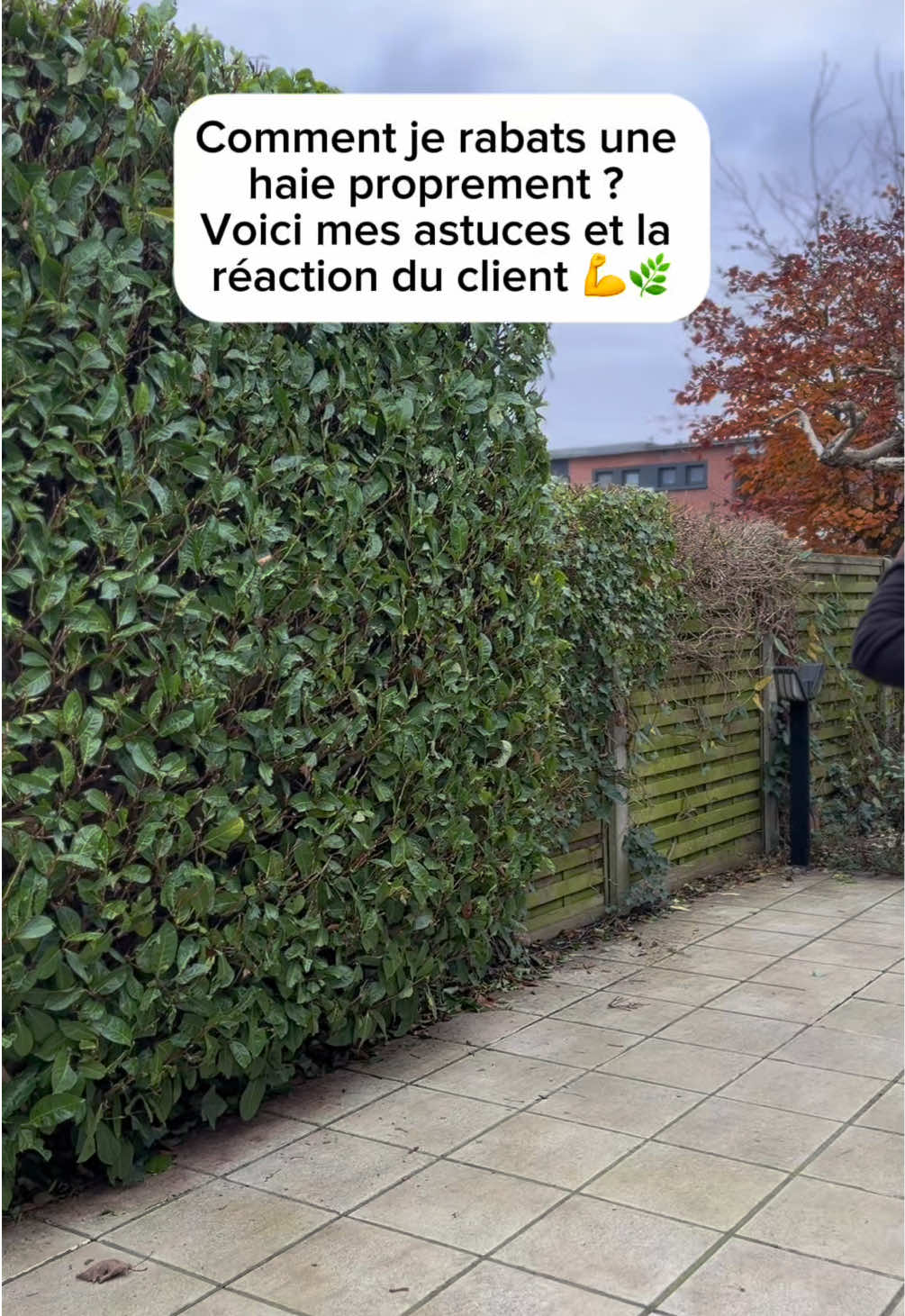 Rabattre une haie de 50 cm, c’est tout un art ! 🎯 D’abord une ligne droite au sécateur, ensuite on ajuste petit à petit pour un résultat impeccable 🌳✂️ Tu fais pareil ? 👀 #Jardinage #TailleDeHaie #TechniquePro #Paysagiste #AstucesJardin #JardinageTikTok #TeamJardinier #HaieParfaite#CapCut 