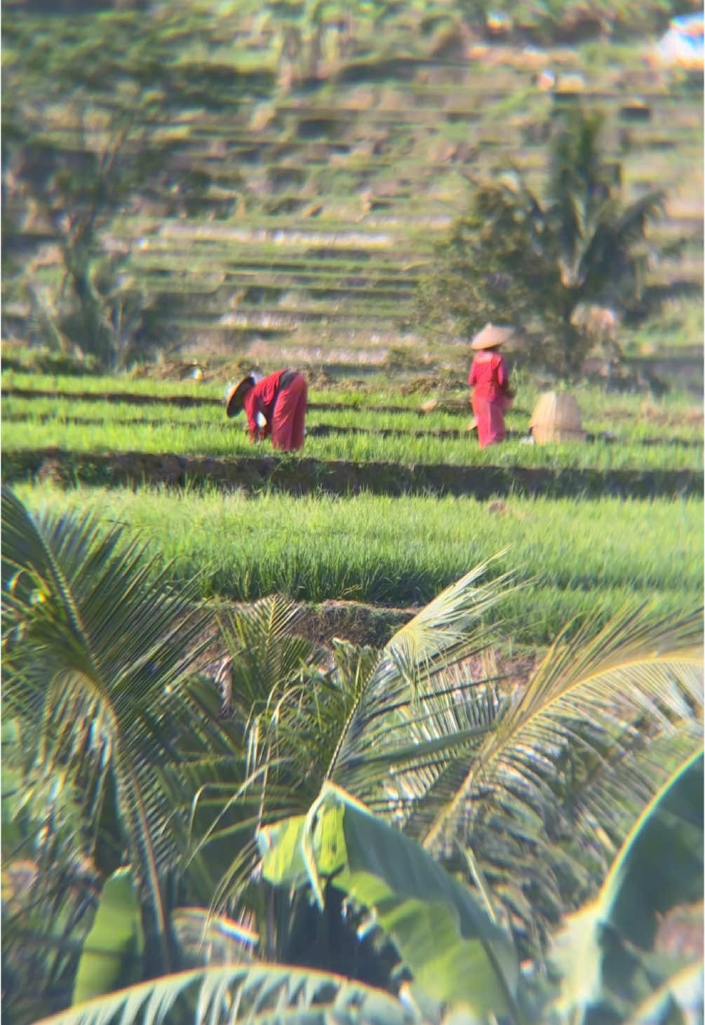 Emak 🤩 #majalengka #apexel #apexel18xzoom 