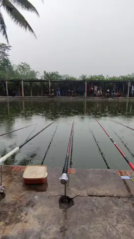 Laki-laki tidak bercerita tapi budal mancing🥴@miftahul.ulum_____  #lozbes  #kplosbez  #galatamalele  #fyppppppppppppppppppppppp  #fypage  #fypviralシ  #rilislelemalang  #galatamalelemalang 