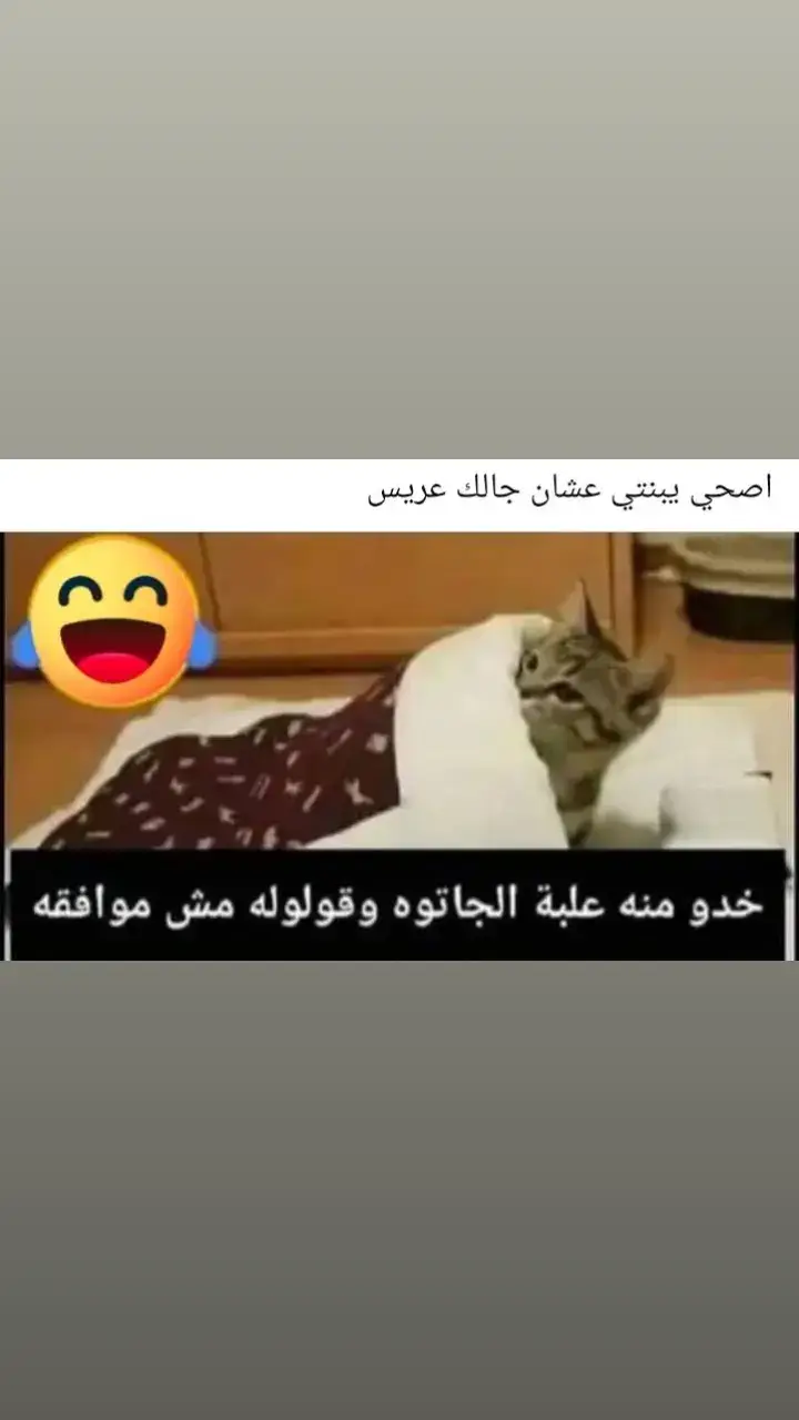 #🤣🤣🤣🤣 #صلوا_على_رسول_الله #اكسبلورexplore #🤣🤣🤣🤣 