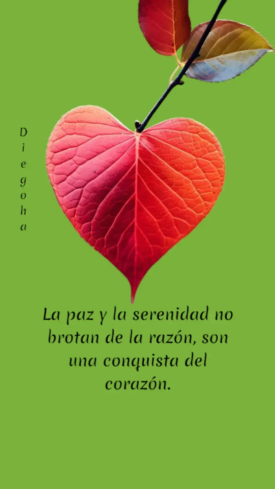 ¡Feliz día a la vida! #Naturalezavida🌳💚🌞  #Meditacion  #Reflexion 