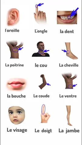 #francaise🇨🇵 #france🇫🇷 #فرانسا🇫🇷 #Fransızca #francés #franska #ፈረንሳይኛ #فرانسوی_زده_کړه #فرنسي #فرنسا🇨🇵_بلجيكا🇧🇪_المانيا🇩🇪_اسبانيا🇪🇸 #französisch #فرانسا🇫🇷 @𝐋𝐞𝐚𝐫𝐧 𝐅𝐫𝐞𝐧𝐜𝐡(🇫🇷) @Alexia - LaFrenchTribe @FrancesconMarie_ @franglais with maddie 
