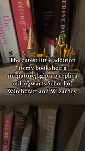 And it even comes with a little sticker book! #hogwarts #harrypottertiktok #harrypottergifts #harrypottertok #harrypottergiftideas #tiktokshopfinds #tiktokshopblackfriday #tiktokshopcybermonday #tiktokshopmademebuyit #stickerbook #stickers 