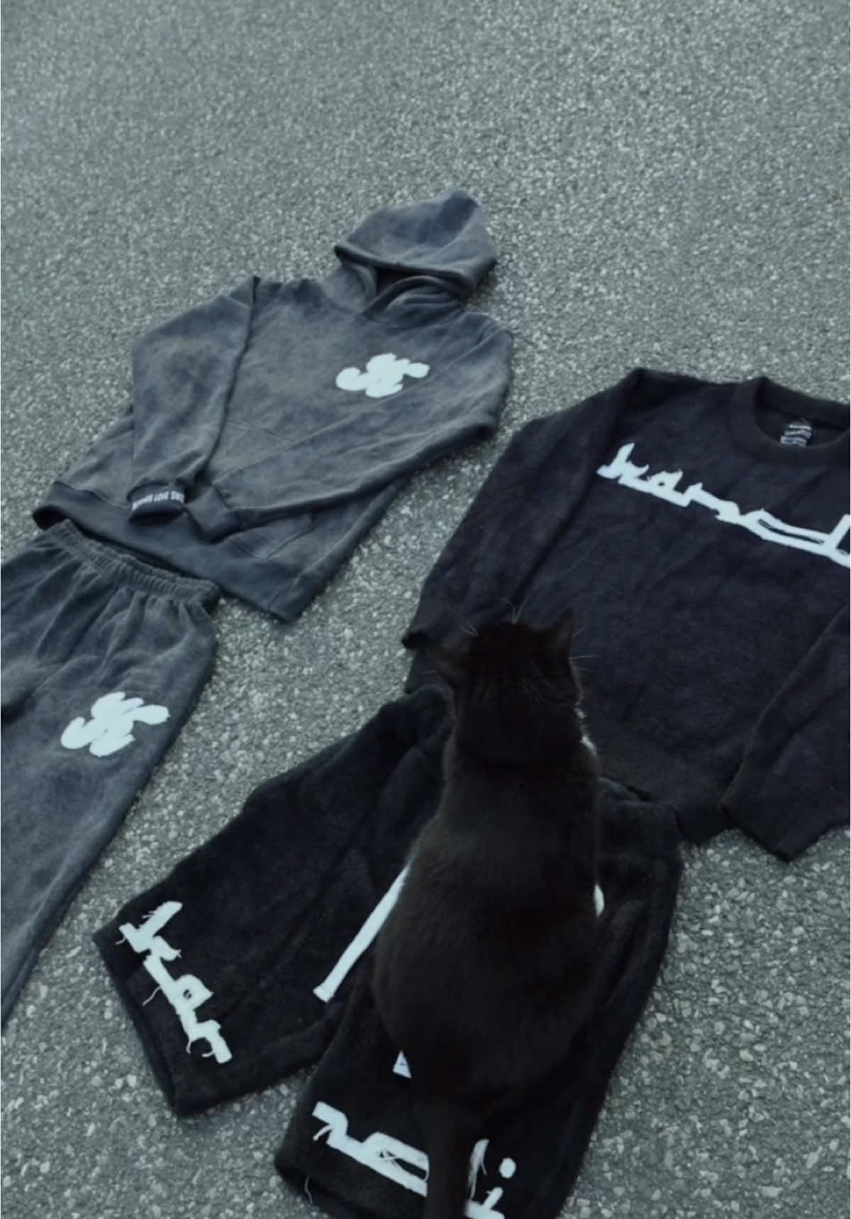 what the cat doin? when should we drop?  #clothingbrand #fyp #foryou #bykandi #viral 