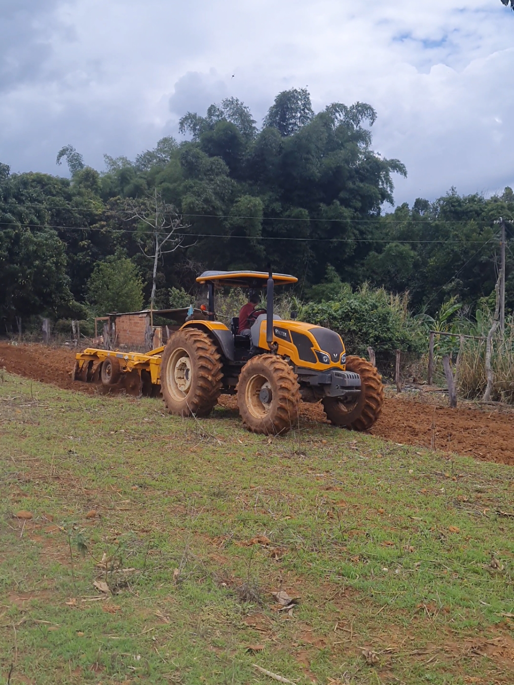 #tratoresagricolas🇧🇷🚜 #tratores #Máqui #agrícolas #motivation 