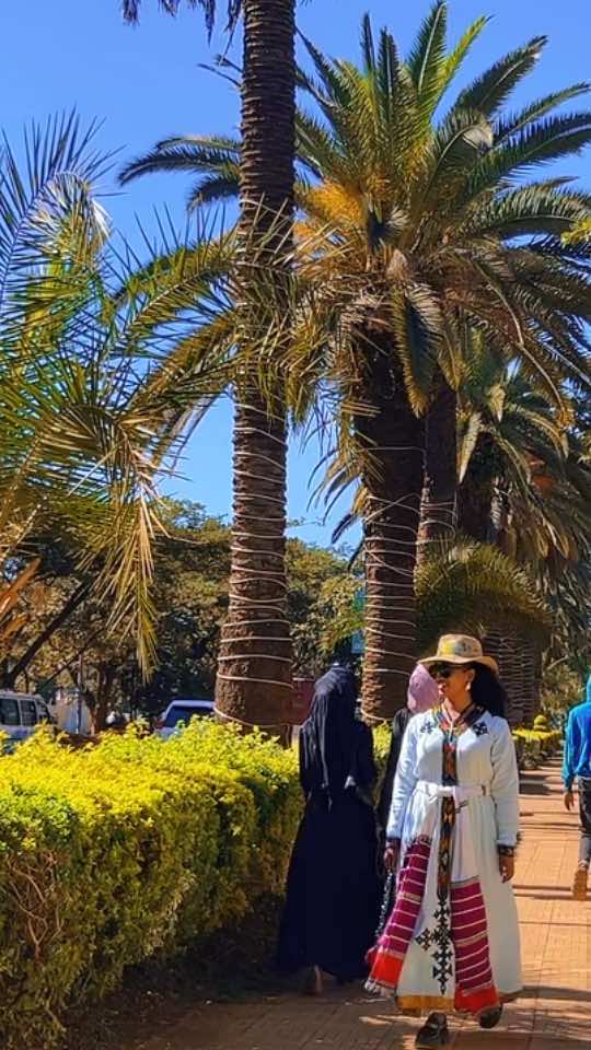 🌴💃🏻#bahirdar#💚💛❤️ #ethiopian_tik_tok 