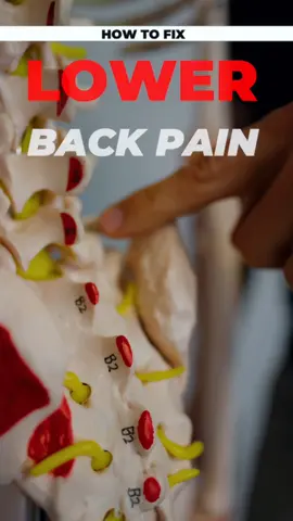 How to fix low back pain. #backpain #backpainrelief 