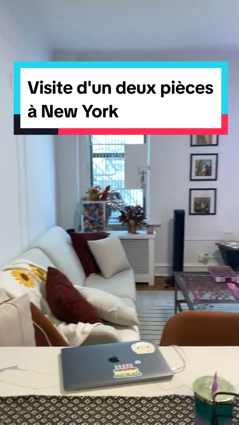 Bon alors payer le double pour être seul à New York on en pense quoi? #frenchyinnewyork #demenagerauxusa #rechercheappartement #expatriation #appartment #appartmenttour 