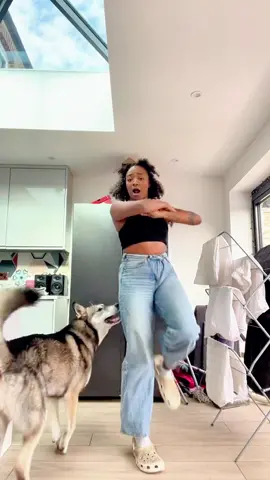 Dogs bite people in the ass #funnyvideos #funny #dog 