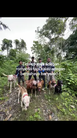 Arena mantap full kejaran+dapat bonus dari bos brp🫡#sahabatporbi #porbisoppeng #porbibone #smicu18 #brp17 #porbiwajo #porbisulawesi #porbimario #clt #porbisulsel @Akram yld @BRP17 