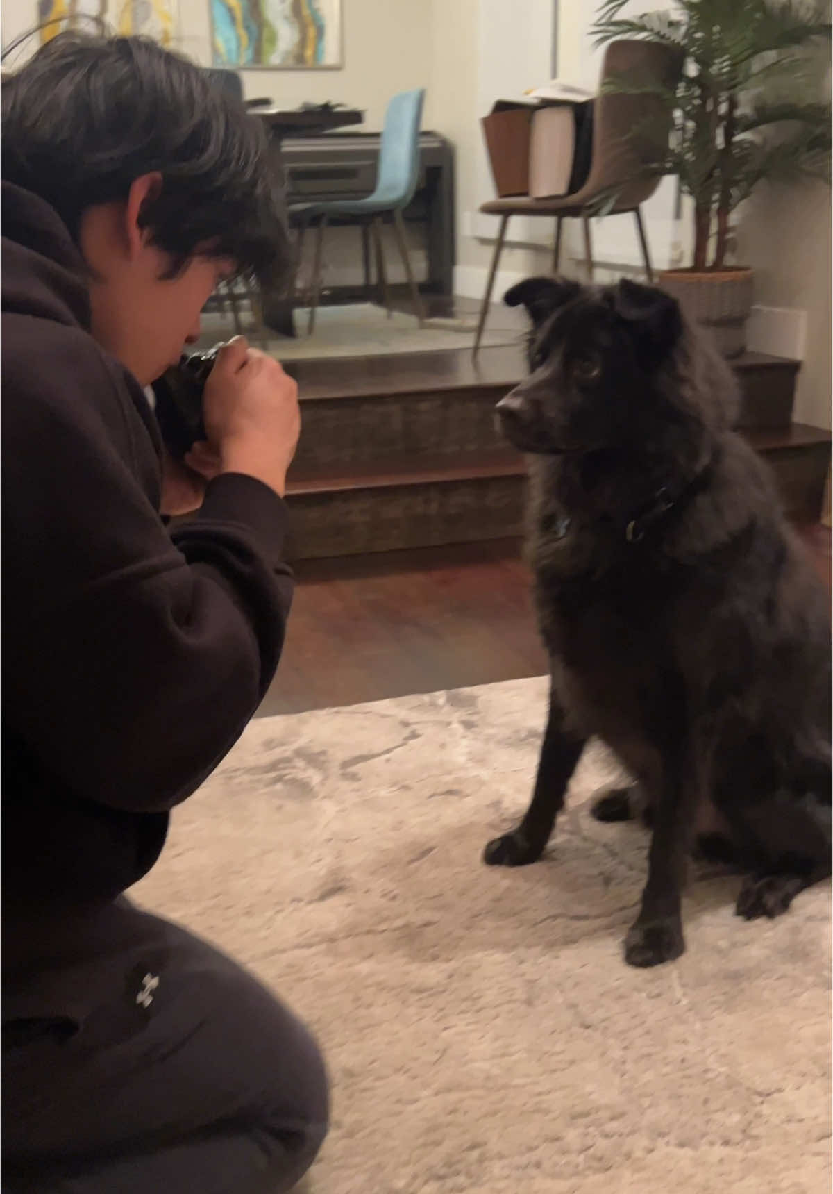 Asher: 0, Jaguar: 1 #mexico #souvenir #mayan #chichenitza #jaguar #dogsoftiktok #justforlaughs @Alex Lim @MitzTiang family channel @Asher the dog 