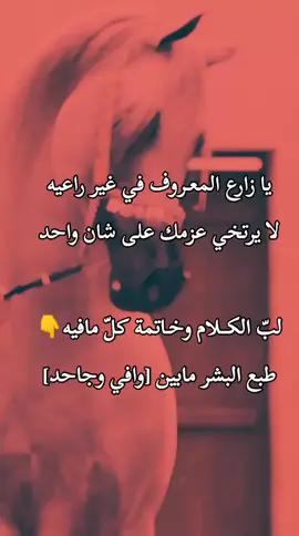 #الاردن_السعودية_فلسطين_أحساس_شاعر_لايك_فضلآ_وليس_أمرآ 