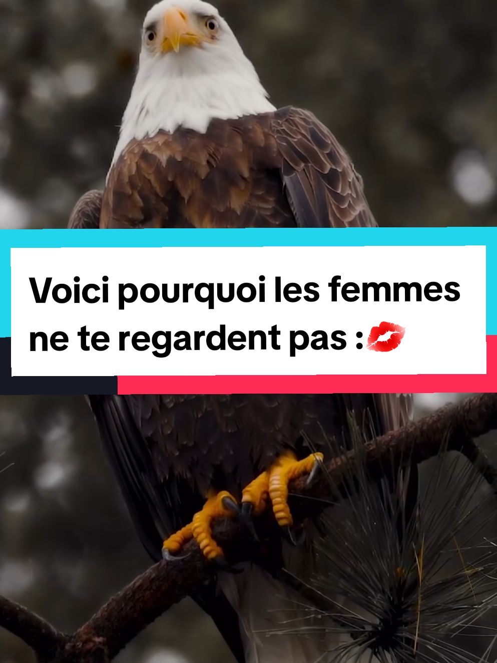 Voici pourquoi les femmes ne te regardent pas :💋 ﻿﻿Tu ne prends pas soin de toi ﻿﻿Tu t'habilles n'importe comment ﻿Tu ne fait pas propre sur toi ﻿Tu ne dégage aucune confiance en toi ﻿Tu ne regardes pas dans les yeux ﻿Ton language corporelle est inexistant #videodujour #motivationalquotes #successmotivation #entrepreneuse #entrepreneurfrance #successtories #mindsetmotivation #motivationetmindset #mindsetgagnant #mindsetpositif #entrepreneurtok