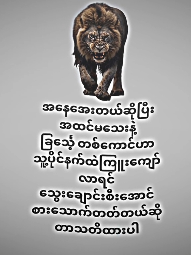 သတိထားပါ😈#🍁Shineစာတို🍁 #MyanmarshineeditAlightmotion🗣️ #fyppplpppppppppppppppppppp #alightmotion_edit 