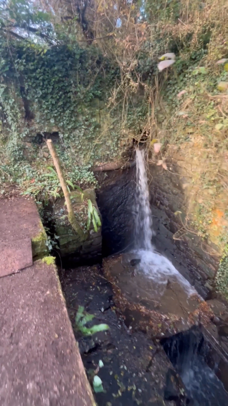 On s'émerveille de toutes les découvertes ici 🫶✨️ #immobilier #rénovation #laforge #découverte #moulin #cascade