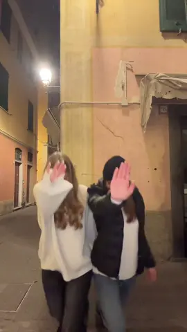 die einizen Sätze die wir nach 1 Jahr italien gelernt haben 🇮🇹🍝#viral #fyp #trendingvideo #waittheydontloveyoulikeiloveyou 