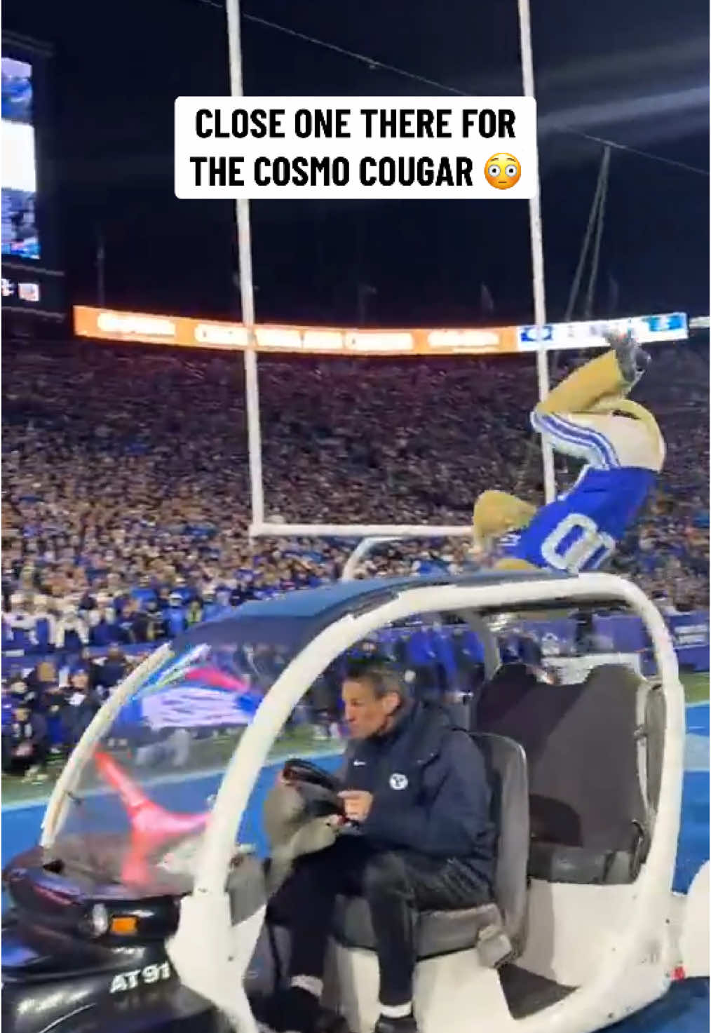 Cosmo Cougar is ELITE 🔥🙌 (@Cosmo the Cougar ) #byu #cosmocougar #mascot #CollegeFootball 