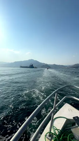 Coastal breeze, salty air, and you—my perfect view.🥰 . . . . . . . . . #SharkIsland #Khorfakkan #UAEAdventures #SnorkelingParadise #IslandEscape #HiddenGemsUAE #ExploreKhorfakkan #TravelUAE #BeachVibes #NatureLovers #ScenicViews #MarineLife #FujairahDiaries #ForYouPage #FYP #ViralUAE 