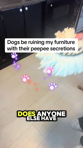I love my boys, but damn they be ruining my furniture with there peepee secretions! I cannot believe I could have saved so much by buying the replacement, reusable, and machine washable heads on TTS at a huge Discount! @TikTok Shop 🇺🇸 @Tiktok dogs 🐕❤️  @O-Cedar  @TikTok Shop Creator #creator #affiliate #creatorsearchinsights #cleaning #cleaningtiktok #spinmop #easy #lovethis #5 #fyppppppppppppppppppppppp #fypシ #fyp #tiktokshopblackfriday #tiktokshopcybermonday #tiktokshopholidayhaul 