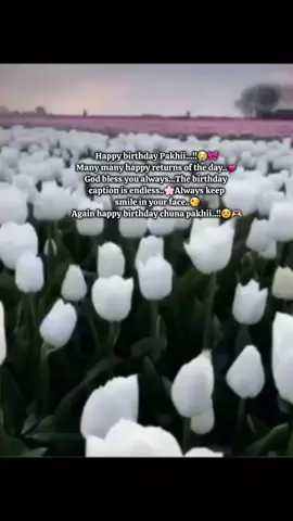 Happy birthday pakhii..🥹🎀 Doua kri allah tre sbsmy hasi khusi rakhuk. Tor jibon theke sb kosto dhur kre dik. Tore nye blle o ses hbe nh karon toke nye kichu bolar e nai 😒🤧 Acca ekta kotha e bli sudhu Tui amr life e allahr deua best gift- (baki mittha kotha pore bolbo apnader)😗🫶🏻 Vhaii last e just ekta kothai blbo keu jdi pabna te rugi admit kraite cau thle plz ei bedire nya jaio nije to pagol sathe amare o pagol banay dey🥲🎀 Btw Again Happy Birthday samu pagol🤧@🎀  #rafu💗✨ #rafitaot7 ##fyppppppppppppppppppppppp #viralvideo #fypシ゚viral #bdtiktokofficial 