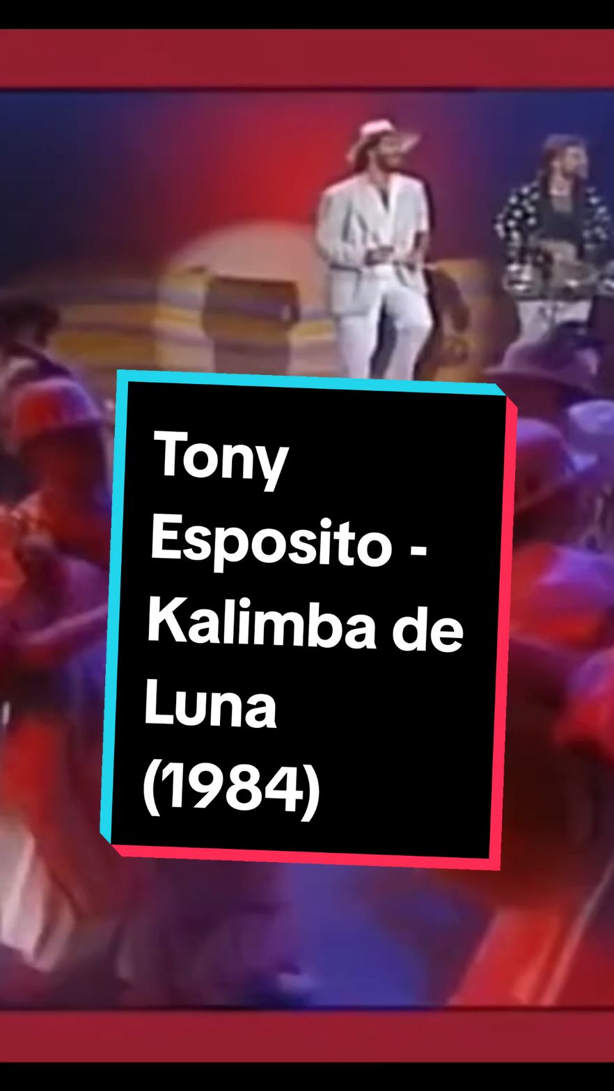 Tony Esposito - Kalimba de Luna (1984)  #thesoundsof33 #tiktokmusic 