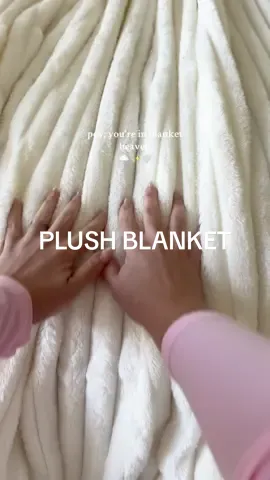my large plush blanket is on sale + free shipping today! 😍☁️✨ @Bedsure #blanket #softblanket #plushblanket #winterblanket #blankets #giftsforher #christmasgift #tiktokshopcybermonday #tiktokshop #tiktokshopblackfriday #spotlightfinds 