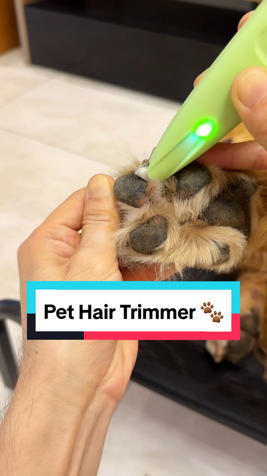 Pet Hair Trimmer 🐾 #pethairremoval #paw #dogproducts 