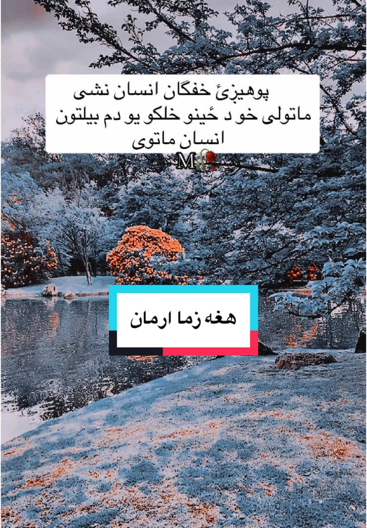 #@هغه زما ارمان M 🥀💔 