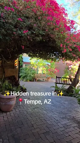 We both agreed that Tempe is a gem and we love visiting here, but this treasure is like walking into another realm of beauty!  The shops in this area are awesome too! There's a rave shop 😍👏 #tempe #hiddentreasure #arizona #adventures #foryoupage #fyp #down4shevanigans #vanlifers #PlacesToVisit  @Cody Wade 