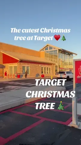 The best little sparse tree for small spaces 🎄 AND last i checked they were having a 50% off deal! @target   #targetfinds #targetchristmas #christmastree #christmas #targetmusthaves #viralchristmastree #target #wondershopattarget 