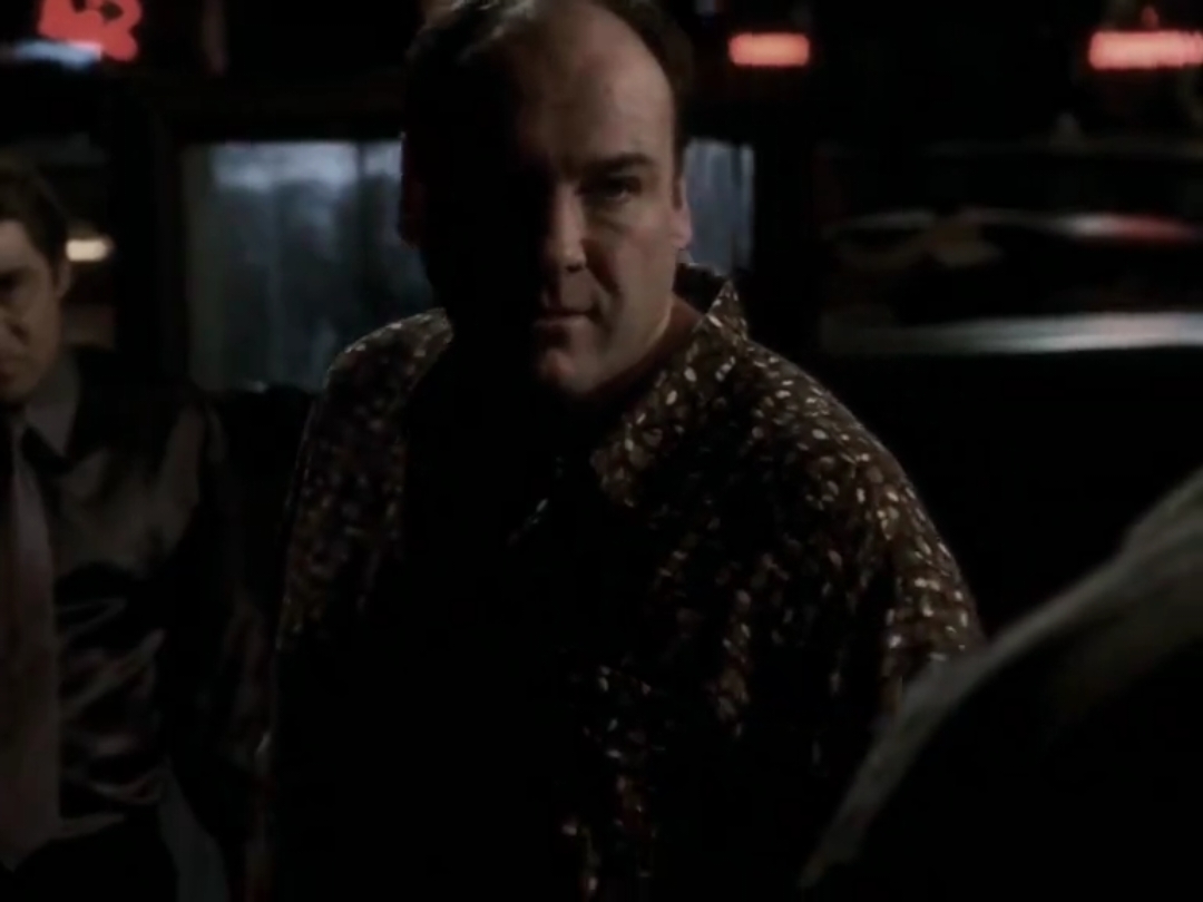 #tonysoprano #thesopranos #explore #fyp 