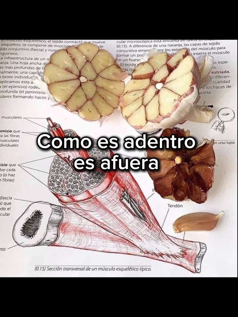 Geometría sagrada en la naturaleza  Toda la realidad proviene de una misma fuente sagrada y universal  El cuerpo humano es semejante en forma y diseño a la geometría de frutas y verduras  Esta realidad se genera a travez de números geometría energía  Todo se une a travez del éter  Para ver todo lo que vez a tu alrededor  Esta es una simulación  Es un plano de dimensional completo diseñado para experimentar a travez de un Avatar perfecto en conexión, biología, energía, consciencia Somos un imán 🧲 bio energético capaz de alterar la realidad  . ¿Qué opinan? . ATENCION  2025  Enero Curso nivel 2 geometría sagrada 