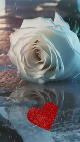 #CapCut  #Los Temerarios - Mi Corazón Te Quiere.#musica romántica siempre.