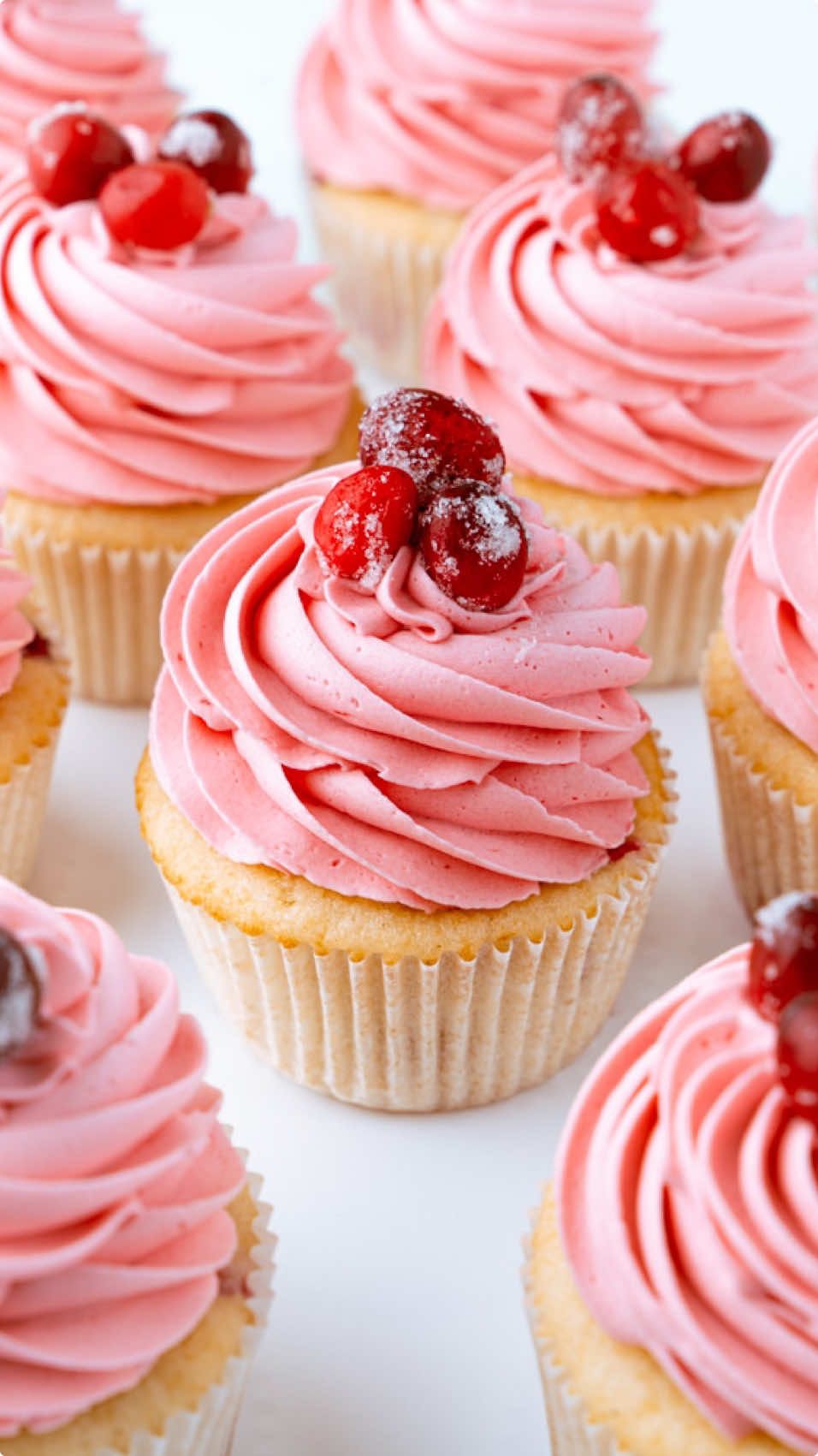 Santa is giving up cookies this year. He asked for these cranberry cupcakes. Recipe on cakemehometonight.com! #cupcakes #cupcake #cupcakepiping #cupcakedecorating #christmascupcakes  