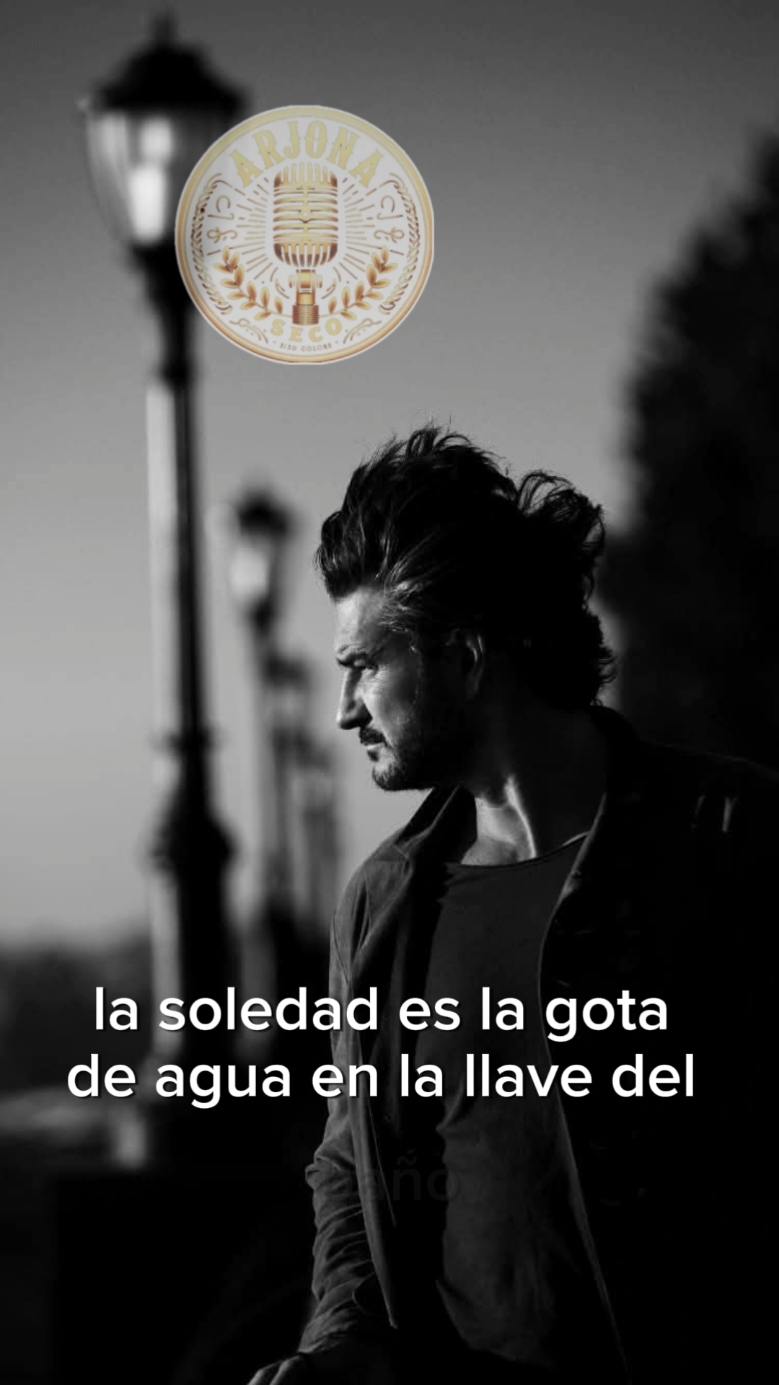 #lasoledad #lasoledadarjona #ingrata #ricardoarjona #seco #arjona #ricardo #fyp #parari 