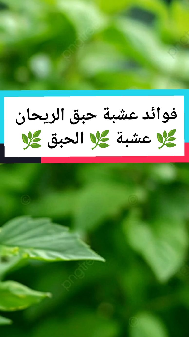 #وصفات_طبيعية #فوائد_صحية #طب_الأعشاب #france #herbalremedies #pourtoi #fouryou #viral_video #fpy 