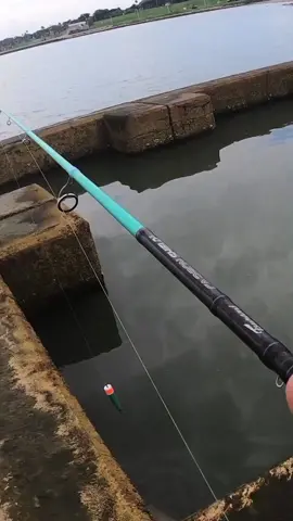 Wait for last 😱 || #fishing #amazingfishing #fishingadventure #fishinglife #bigfish #fisherman 