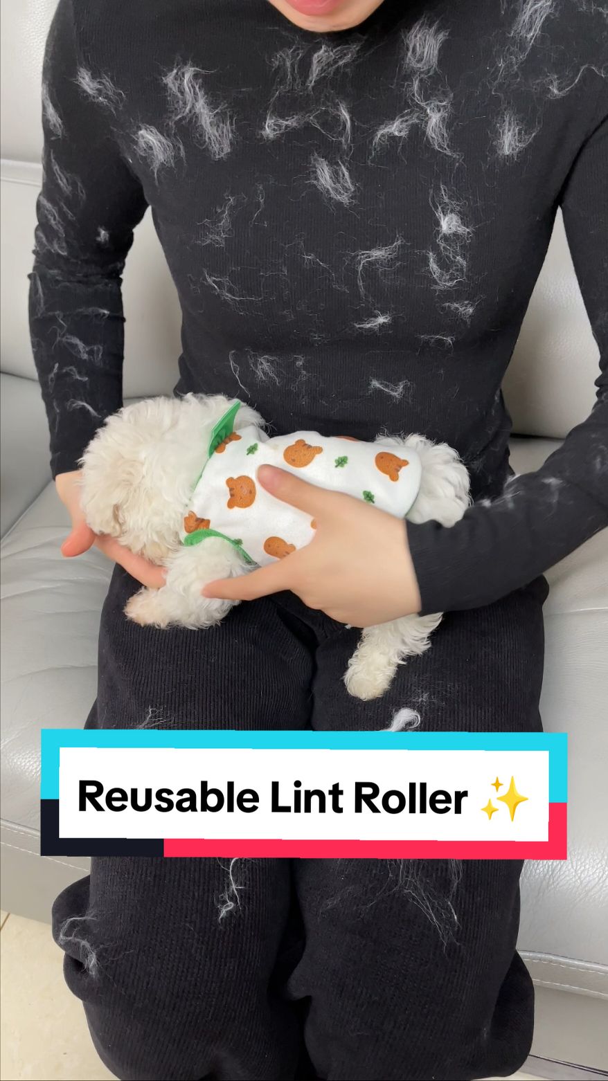 Reusable Lint Roller ✨️  #lintroller #dogbrush #dogproducts 