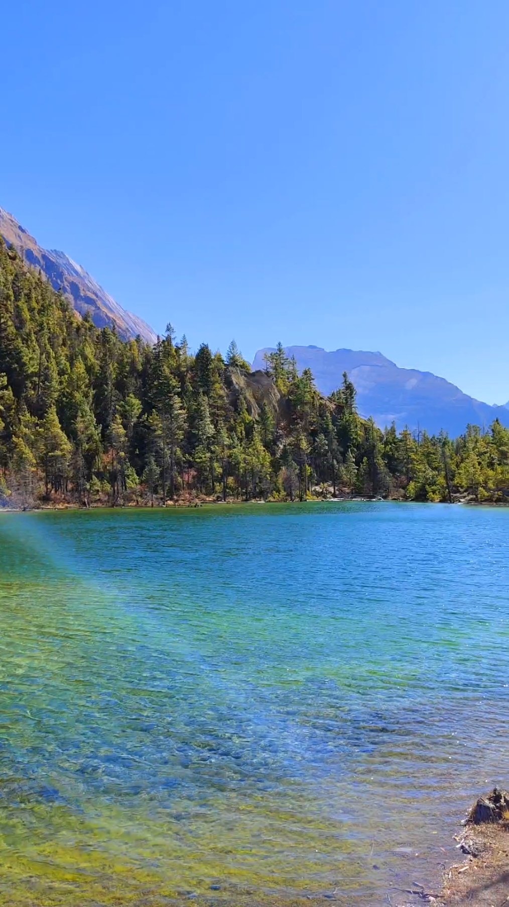 Green Lake  Timro Lagi Tipeka Ti Full Jati #trending  #greenlake #taghring  #asbisha♥️  #viral  #lamjungmuser  #manang #20millionviews  #nepa  #youtube  #tiktok  @nini @SHISHIR GAIRE @Saritasunar @Re__❤️__nu @Susma century @A❤️B @sujatasanu @Bipana sunwar @ÀßmïTã˙❥˙ @anjitabc @Amirt Bk @asika @Ka Leyy @Manix Gurunq @Mrs.Magarni💘 @Pa Rw Been @pratichha sunar@435 @Raju B K467 @Rita Bishwakarma @Shreejana Shreejana @Shuva Didi @Sunita💗💐 @_it's me_arjun @अ❤बि @सरस्वती सुनार🤗💓 @स्यानु🥀❤️ @🌷 @नानी🌷 @👑Frances🔥 