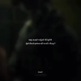 💀🔥  )  #viralvideo #foryoupage #whatsappstatus #fypシ #sinhalawadan #trendingvideo #100kfollowers #silent_quotes #cylone_tik_tok #trending #1millionaudition 