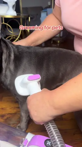 Dog Gromming #doggromming #doggrommingathome #doggroomer #groomingathome #groomingdog 