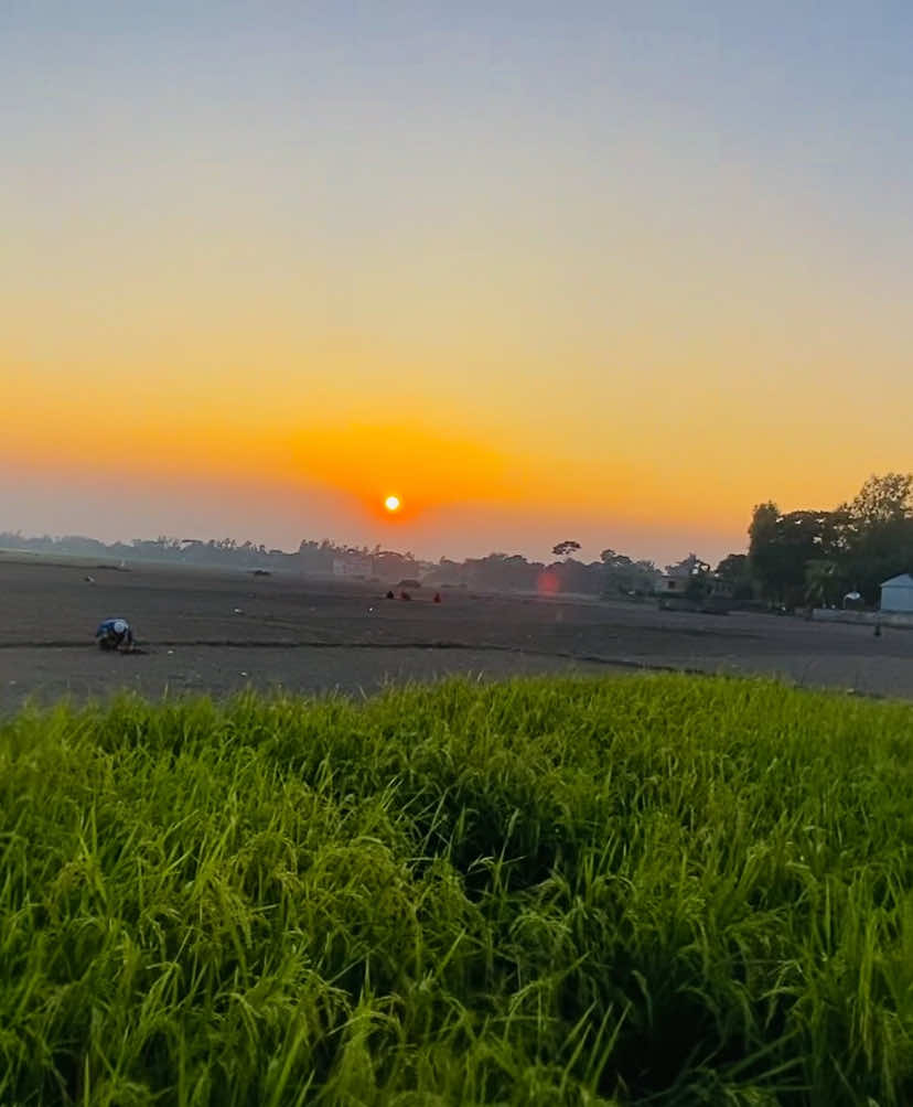 ᥫ᭡—তুমি তো আকাশের মতই অসীম দেখার স্বাদ আছে কিন্তু ছুয়ে দেখার সাধ্য নাই -//😔💔 #প্রকৃতি #sky #tree #fyp #fypシ #fypシ゚viralシ #unfrezzmyaccount #tiktok #shorts #song #weather #views #reels #nature #natural #scenery #foryou #trending #viral #viralvideo #sunset #akash #NaYaN #NaYaN56 @TikTok @tiktok creators @TikTok Bangladesh 