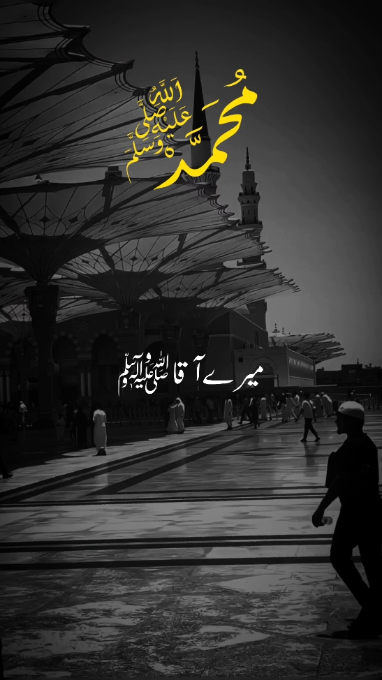 💞 #foryoupage #fouryoupage #viraltiktok  #islamic_status #islamic_video  #naatsharif #growmyaccount  #viewsproblem #standwithkashmir  #tiktokpakistanofficial