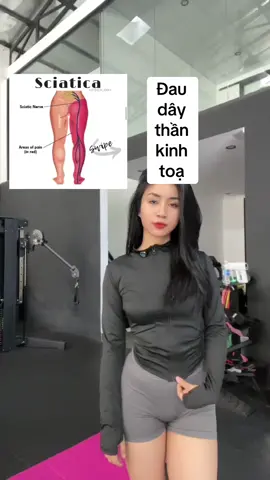 Đau thần kinh tọa : Dây thần kinh tọa là dây thần kinh lớn nhất trong cơ thể. Nó bao gồm một số dây thần kinh cột sống  chạy từ lưng dưới đến đầu gối trước khi nó phân nhánh và tiếp tục đến bàn chân, chạy sâu đến mông và xuống mặt sau của đùi. Nguyên nhân chính gây ra các triệu chứng đau thần kinh tọa là thoát vị đĩa đệm thắt lưng/phình.Những người gặp phải các triệu chứng đau thần kinh tọa thường có triệu chứng đau nhói từ lưng dưới, mông hoặc dọc theo đường đi của dây thần kinh tọa yếu ở chân tê/ngứa ran xuống chân, vào bàn chân . các triệu chứng trầm trọng hơn khi ngồi!