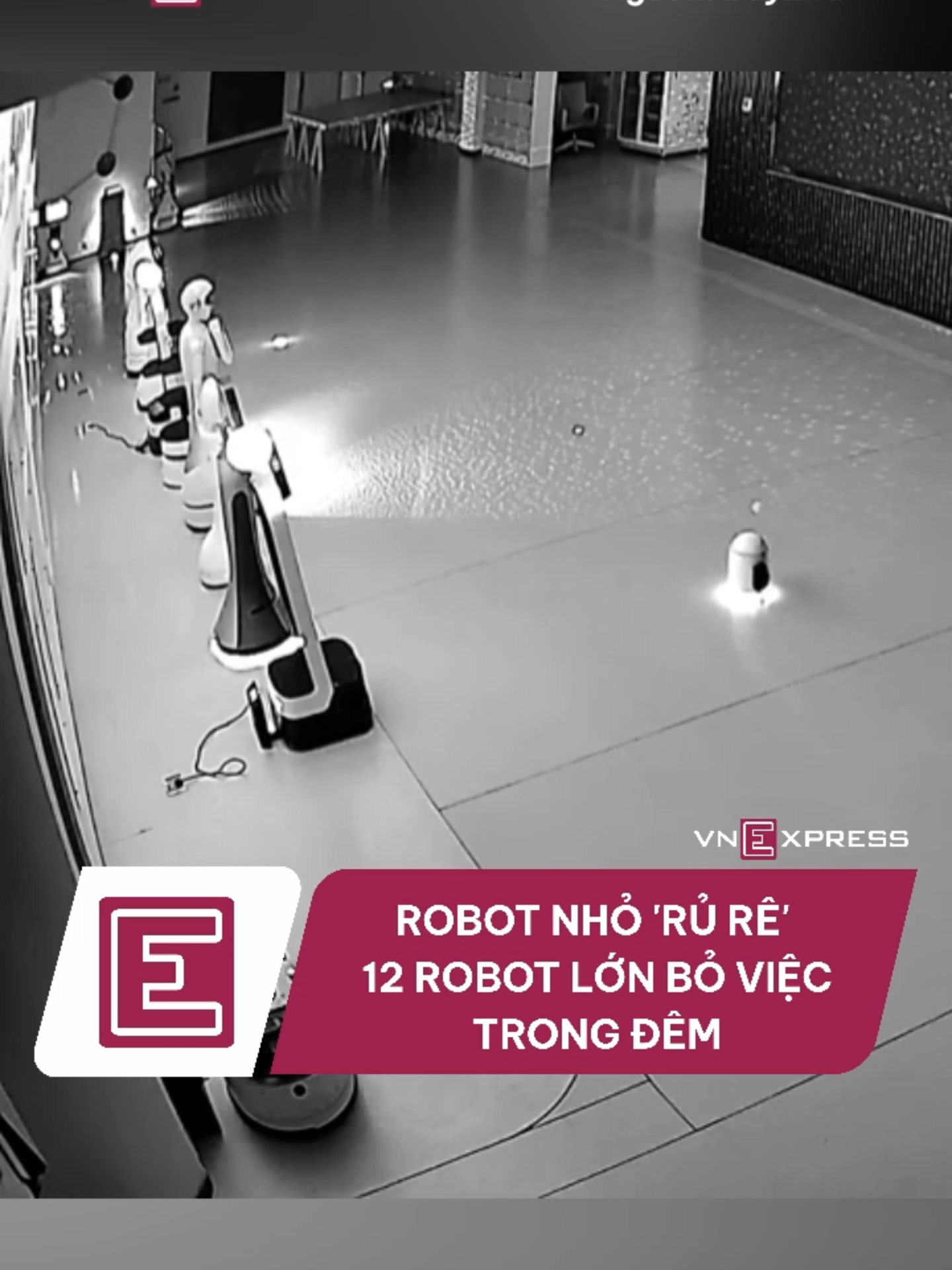 Video do camera an ninh ghi lại cho thấy một robot đã thuyết phục 12 con khác bỏ việc đi theo mình. #vnexpress#tiktoknews#vne #trungquoc #robot